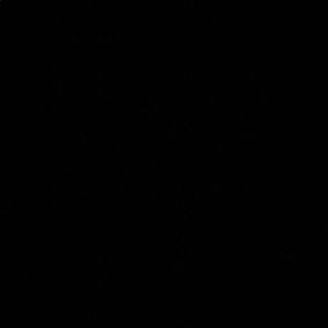 Meet your Posher, Amani